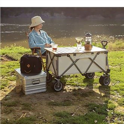 Foldable Wagon Cart